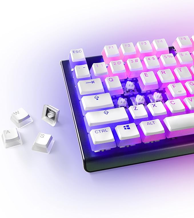 SteelSeries Apex Pro TKL 白PBT 胡桃 キーキャップ